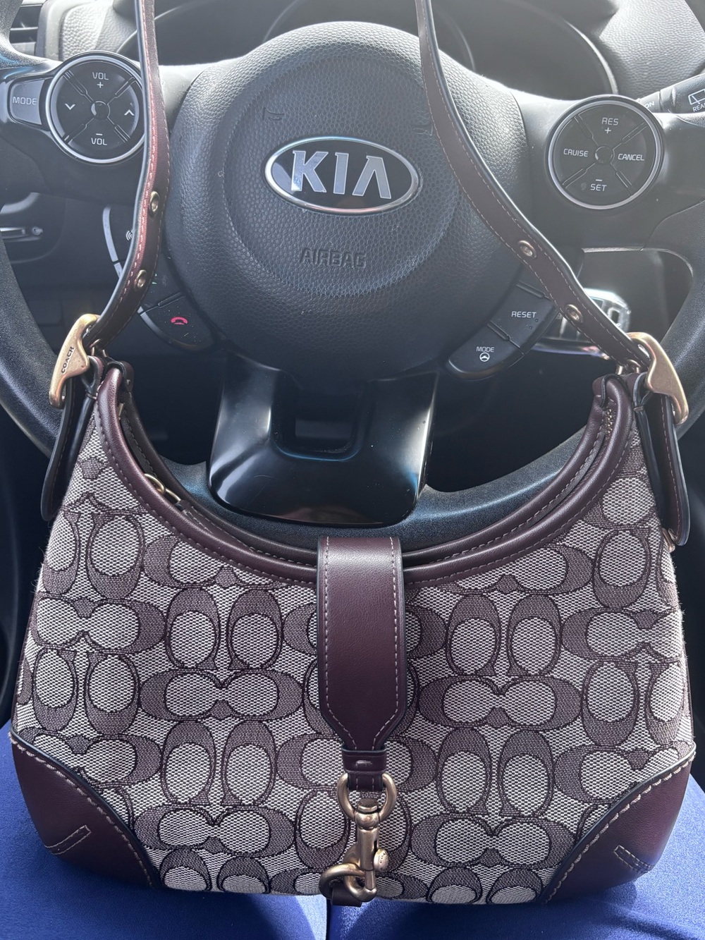 Hamptons Hobo Bag